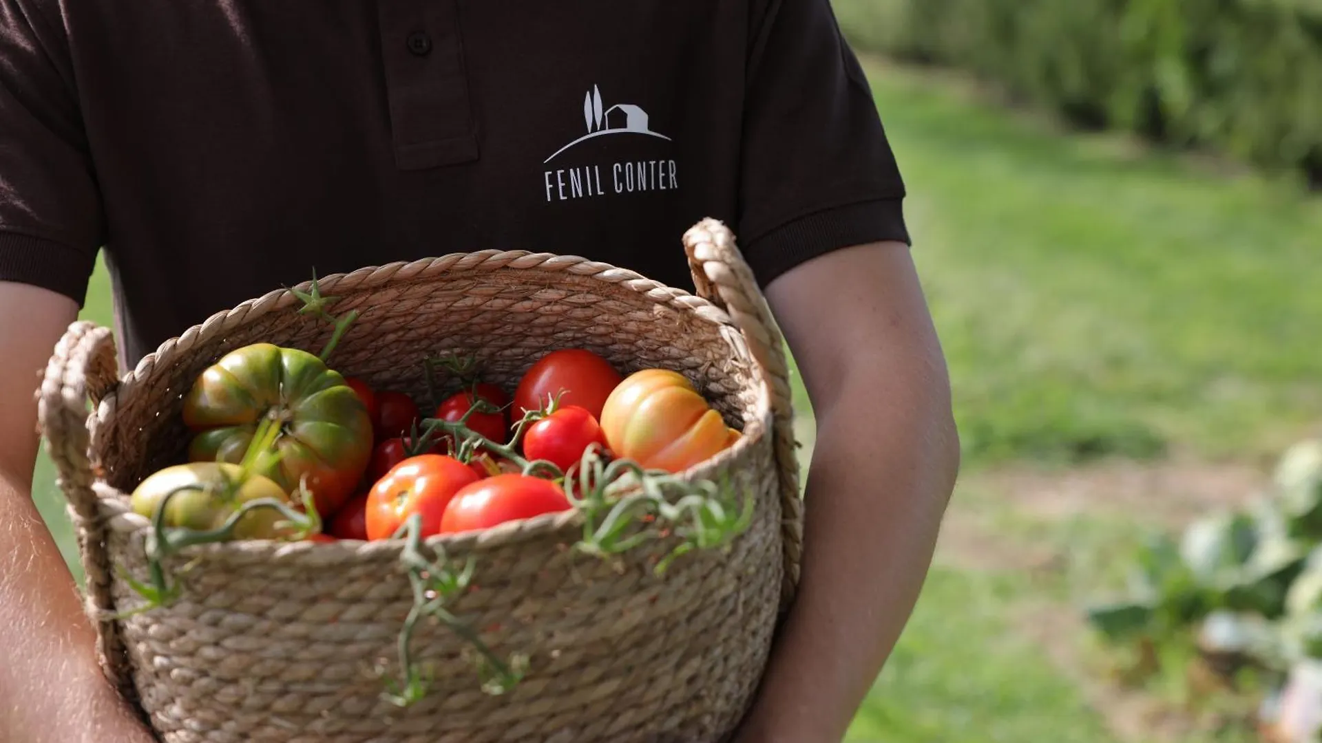 بيت ضيافة Fenil Conter Cottage & Suite بوتسولينغو